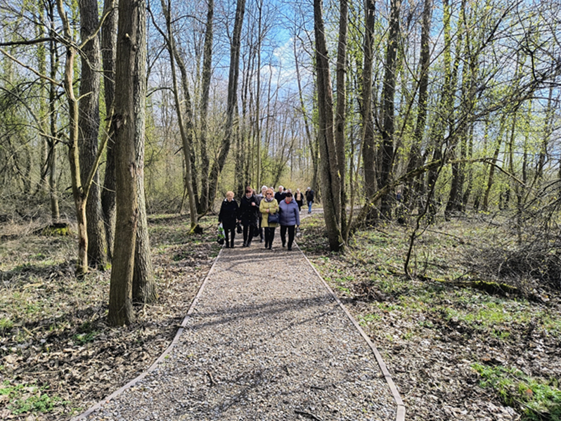 Leśna ścieżka dostosowana dla osób poruszających się na wózkach. W tle idzie po niej grupa osób.