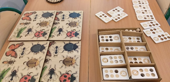 Leżące na stole materiały edukacyjne pokazujące rodzaje owadów leśnych. 