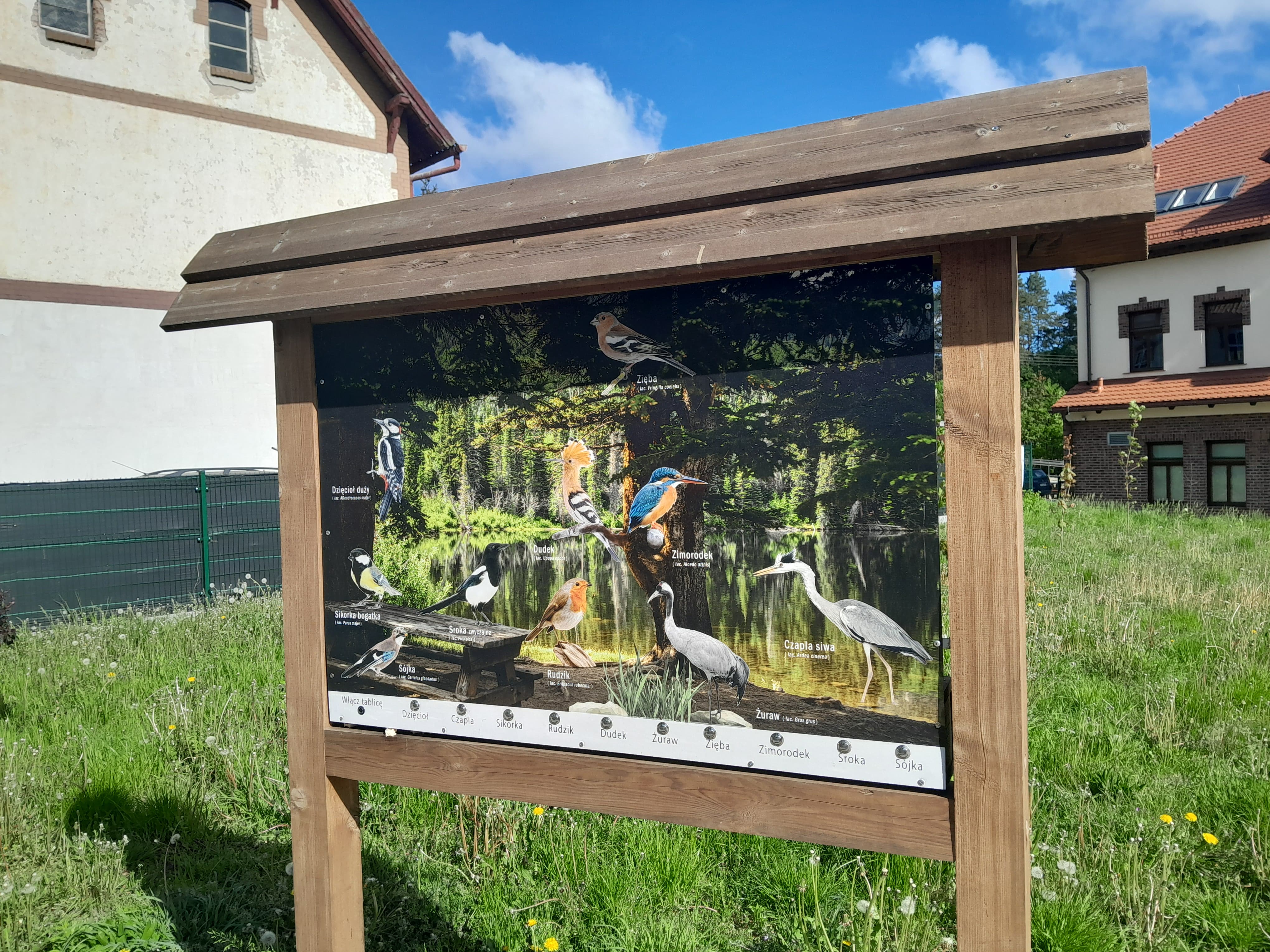 Dźwiękowa tablica informacyjna. Dźwiękowa tablica informacyjna przedstawiająca lokalne gatunki ptaków.