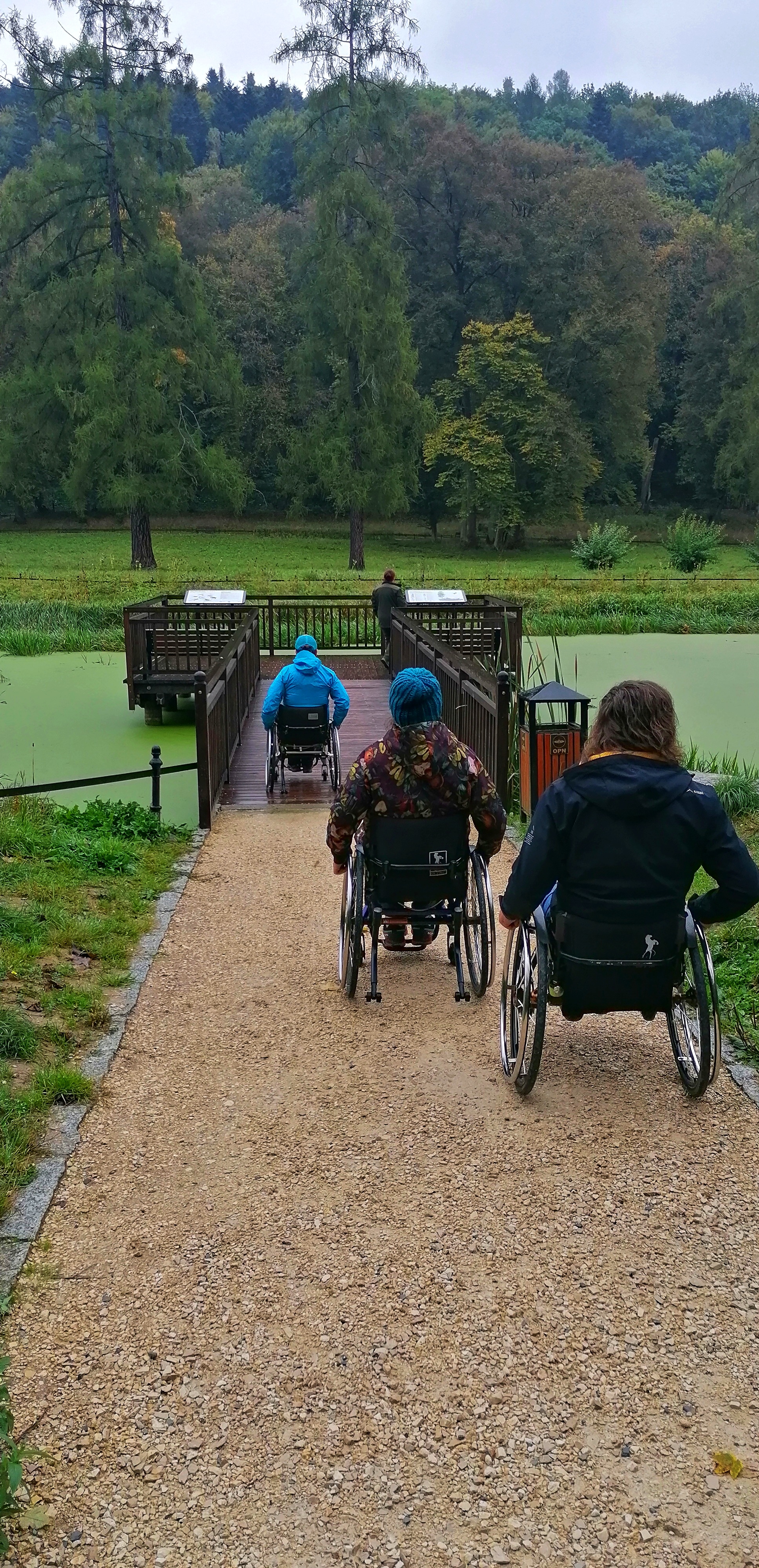 Grupa osób na wózkach inwalidzkich poruszająca się po ścieżce prowadzącej do drewnianego pomostu nad stawem. W tle widoczny jest staw porośnięty zieloną roślinnością oraz gęsty las z wysokimi drzewami.