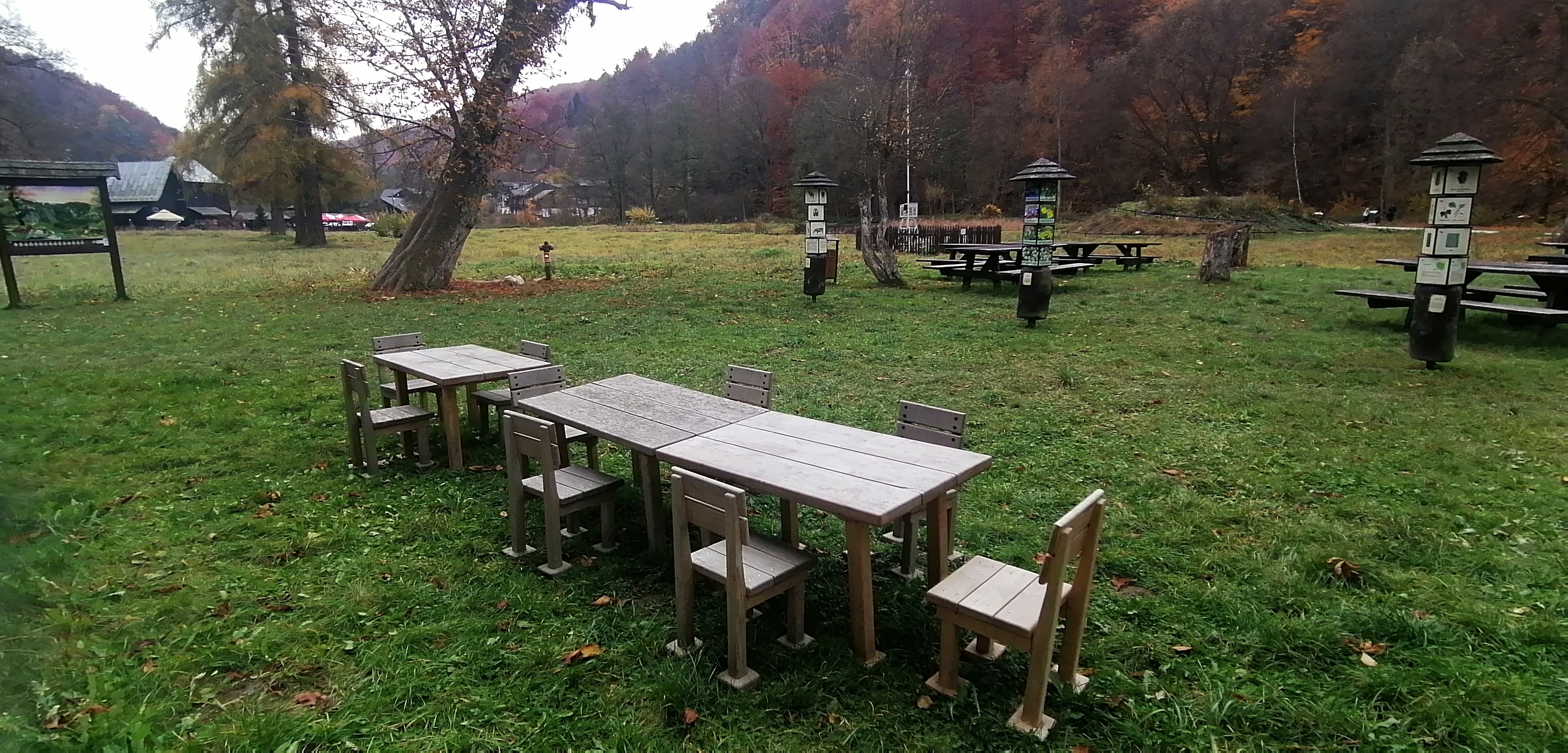 Drewniane stoliki z krzesełkami dla dzieci ustawione na trawiastej polanie w parku. W tle ławostoły i tablice edukacyjne z ilustracjami zwierząt i roślin otoczone drzewami. 