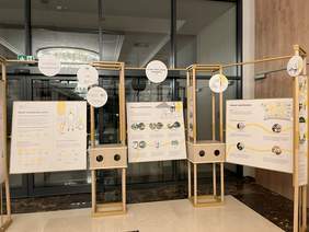 Pokaż zdjęcie: Drewniany stelaż wystawy z trzema tablicami informacyjnymi stojący w holu na czarno-białym marmurowym parkiecie. W tle okna i kryształowy żyrandol. 